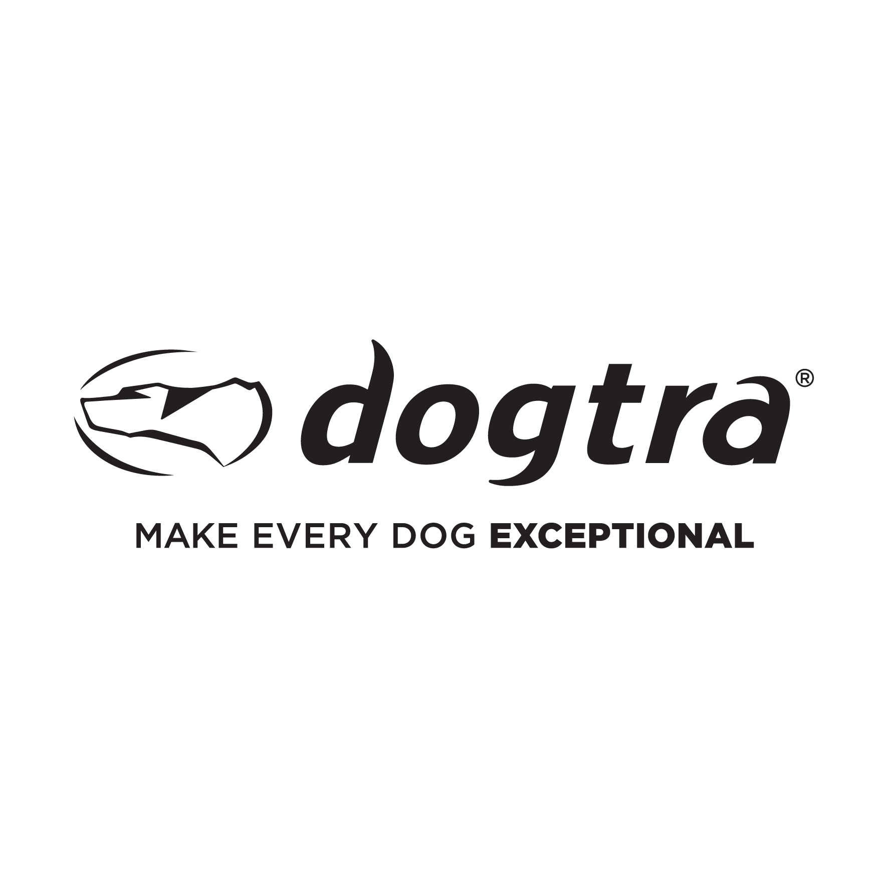 Dogtra